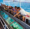 /album/fotky-barbados/barbados-jamajkanita-67-jpg/